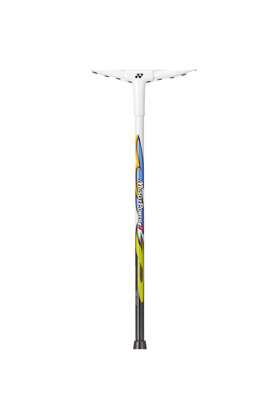 puissance musculaire 1 strung