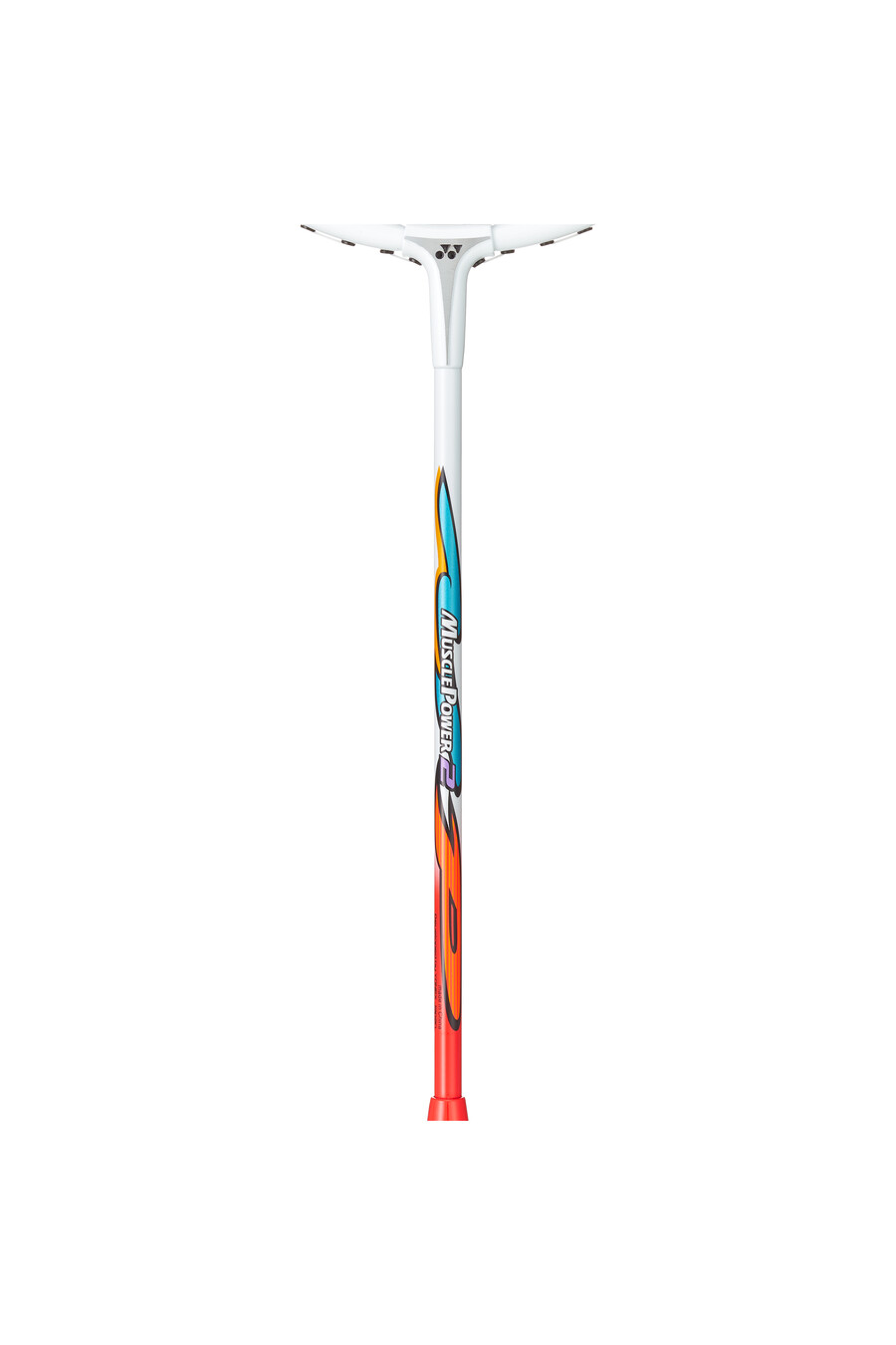 puissance musculaire 2 strung
